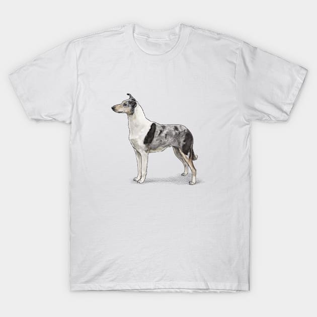 The Blue Merle Smooth Collie T-Shirt by Elspeth Rose Design